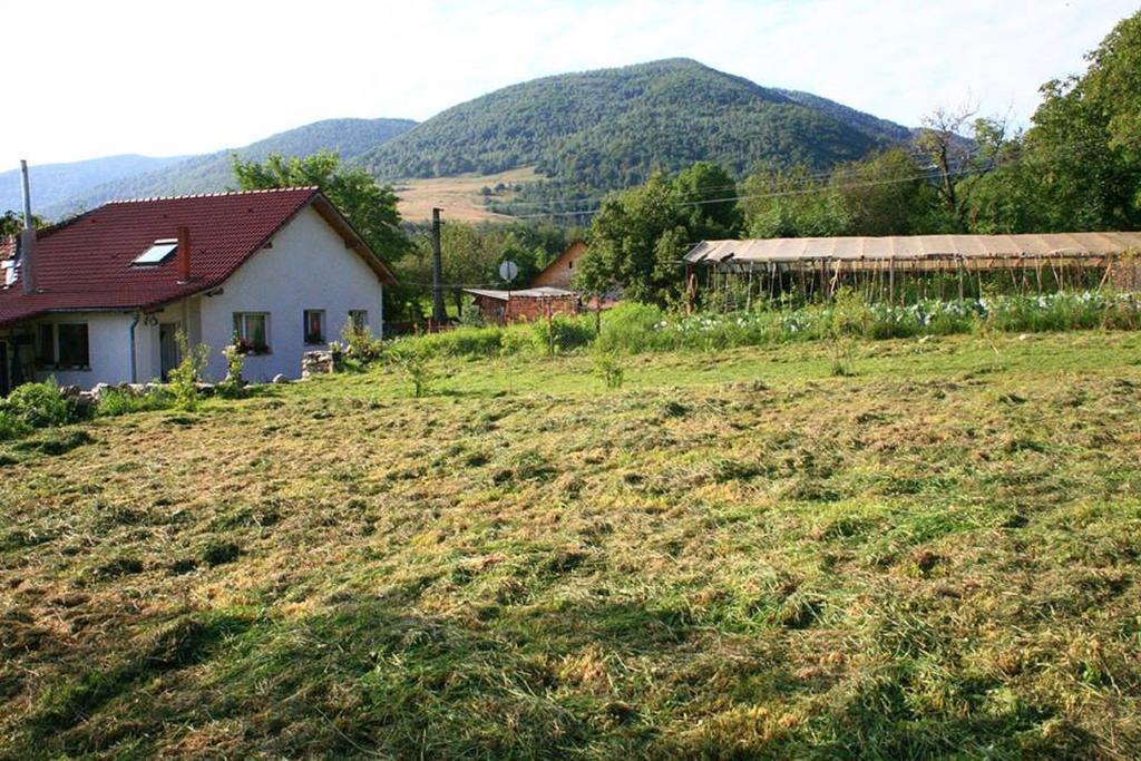 Готель Cuibul Salamandrelor Сармізегету́за Екстер'єр фото